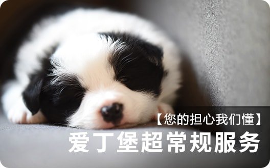 【您的担心我们懂】爱丁堡超常规服务