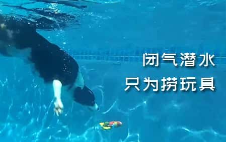 边牧为了玩具，闭气潜水2次捞上来了！