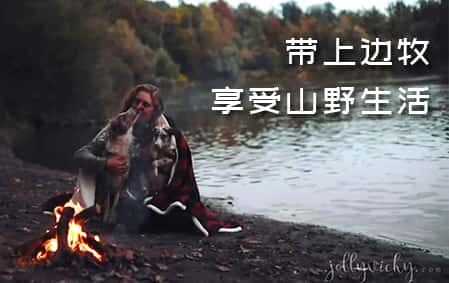 带上边牧享受山野生活