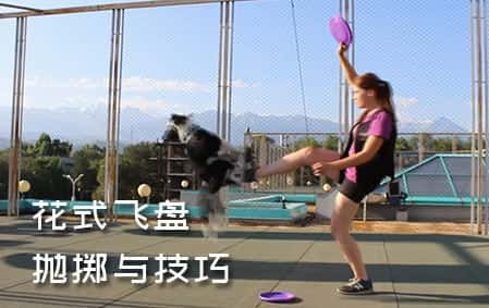 花式飞盘投掷与技巧展示