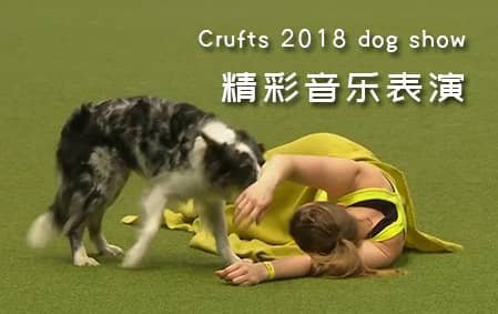 Crufts 2018 dog show 精彩的音乐表演