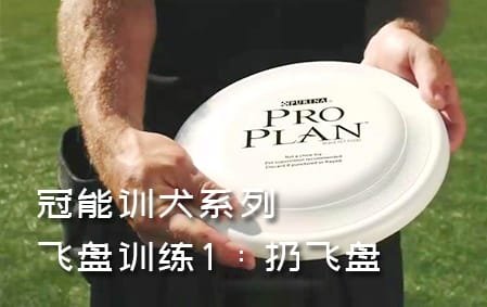 冠能飞盘狗训练：1扔飞盘