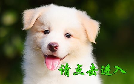 佳佳 公E2