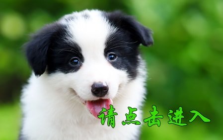 感谢山西张先生已结缘 2020年