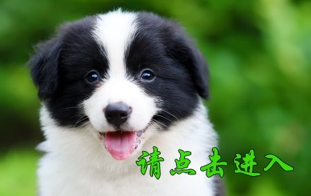 感谢沈阳冯女士已结缘二宝 2020年
