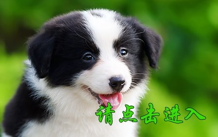感谢青岛赵女士已结缘 2020年