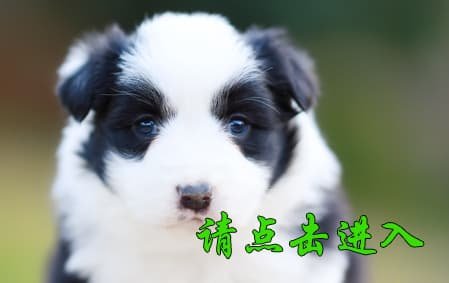 沫沫