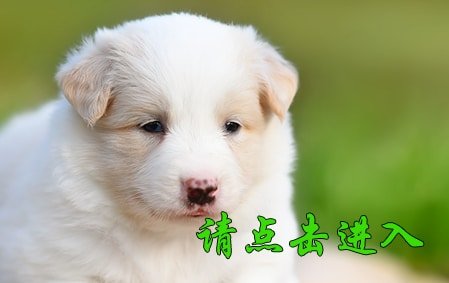 娜莎