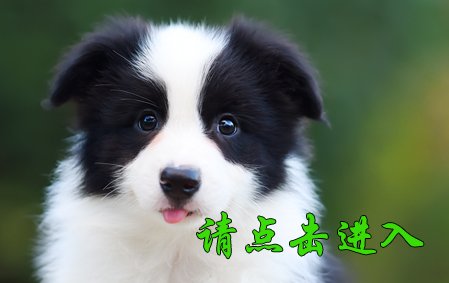 米娅