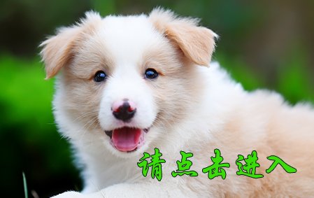 感谢青岛刘先生已结缘 2020年