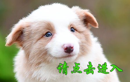 感谢青岛张先生已结缘 2020年
