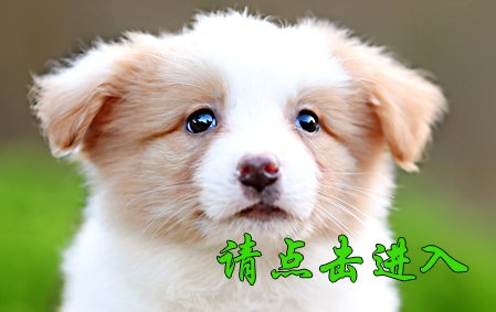 小舒格