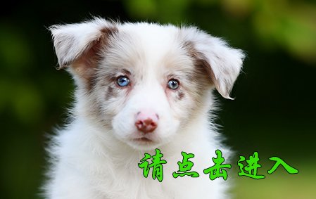 COFFEE母 45天视频展示
