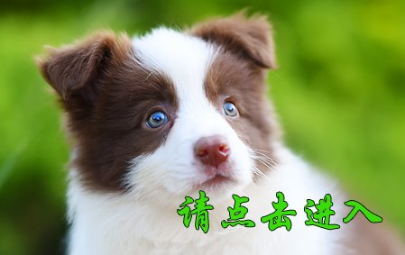 COFFEE母 45天视频展示