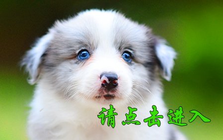 感谢广州李先生已结缘圆圆 2021年