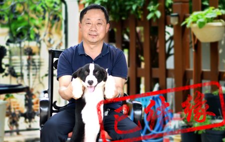 感谢青岛唐先生已结缘可乐 2021年