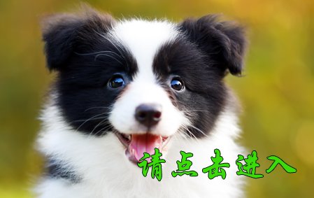 甜甜