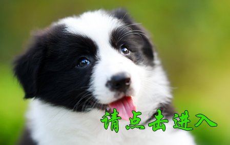 甜甜