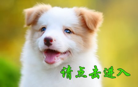 娜莎