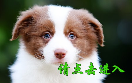 薇薇 公D1