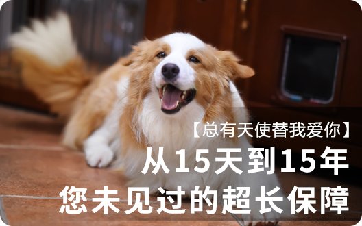 【总有天使替我爱你】从15天到15年：您未见过的超长保障