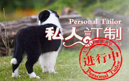 感谢上海孙先生个性定制