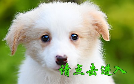 沫沫