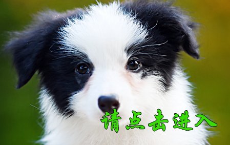 沫沫