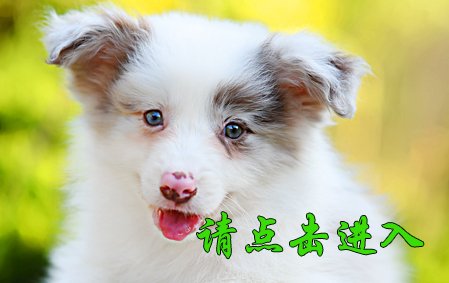 感谢广州李先生已结缘圆圆 2021年