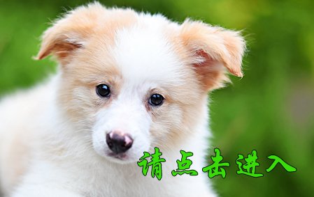 娜莎