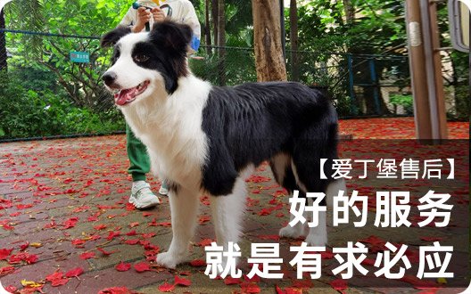 好的售后，就是有求必应~