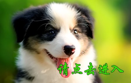 卡罗琳