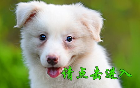 卡罗琳