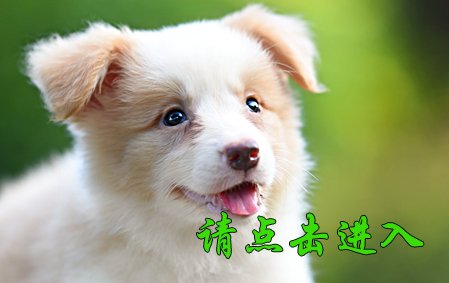 卡罗琳