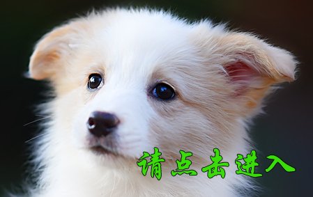 米娅
