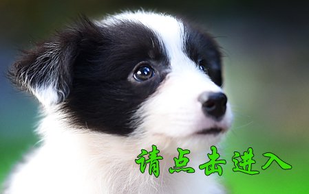 感谢沈阳杨女士已结缘 娜莎 母E5