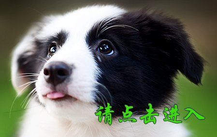 娜莎