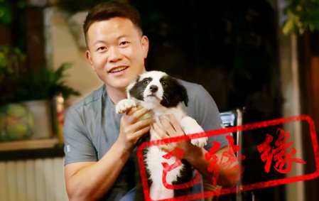感谢烟台赵先生已结缘 花花