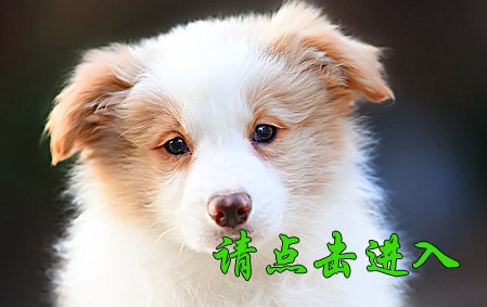 佳佳 公E2