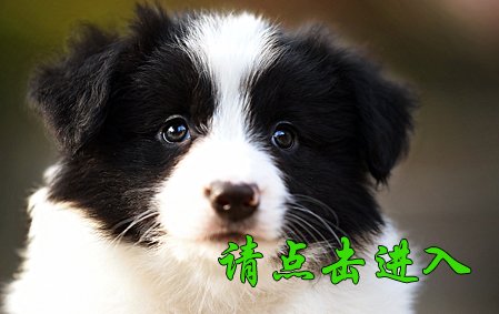 卡罗琳