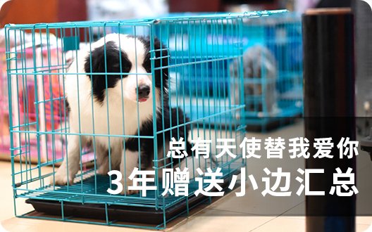【缘分再续】总有天使替我爱你3年汇总~