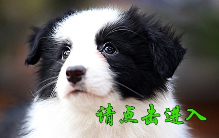 卡罗琳