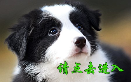 卡罗琳