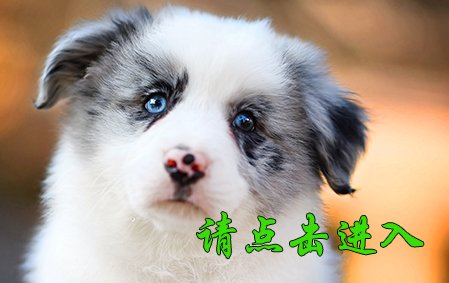 甜甜