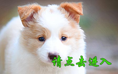 感谢青岛李先生已结缘 小柒