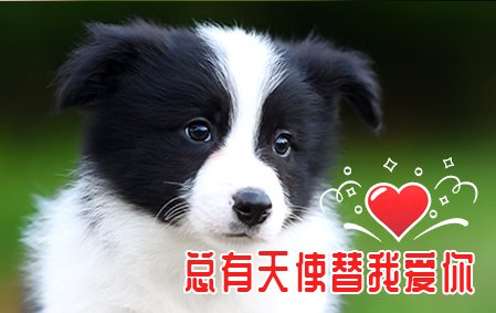感谢济南齐小姐已结缘 米娅 公E5