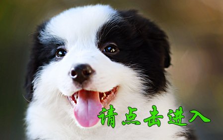 甜甜