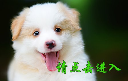 麦考 公F2