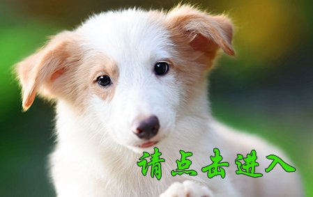 叮当