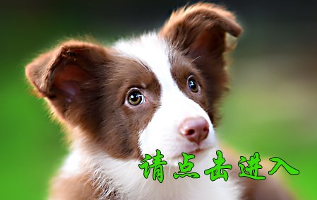 叮当